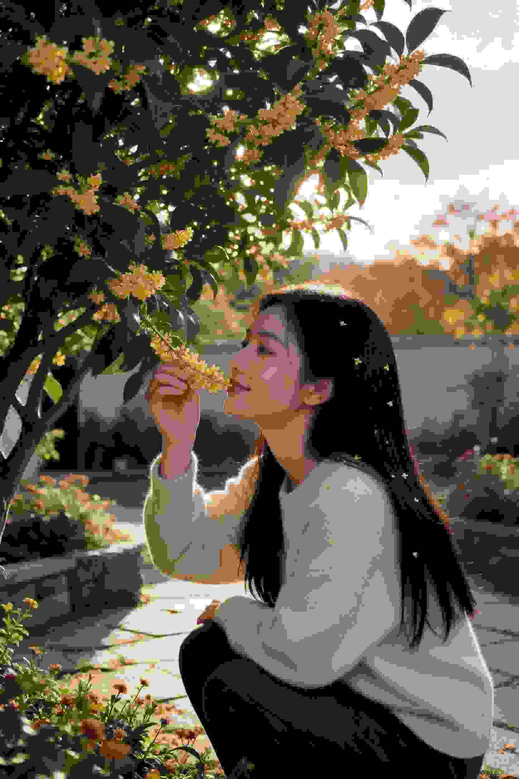 江南画卷